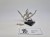 HE metal mordheim shadow warriors