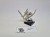 HE metal mordheim shadow warriors