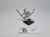 HE metal mordheim shadow warriors