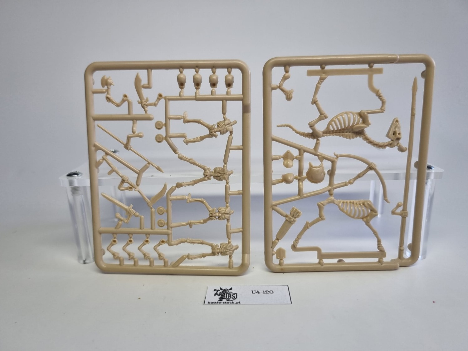 warhammer fantasy armies 3x szkielet + konny