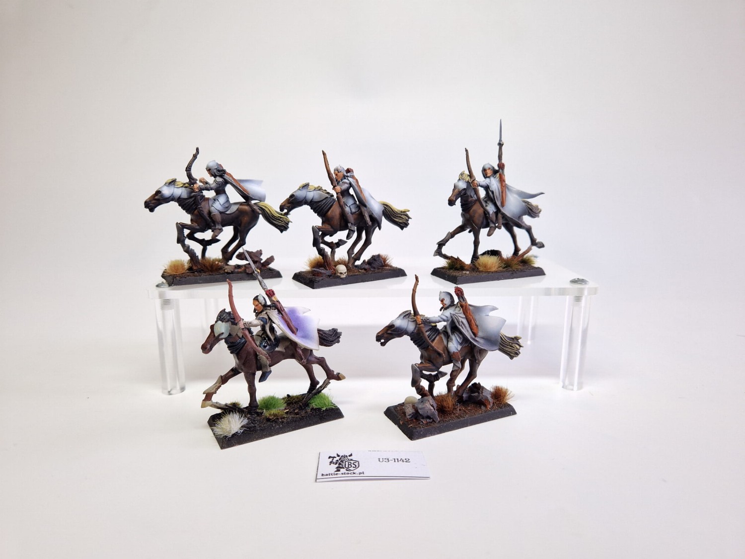 WFB WE glade raiders malowane zestaw (uszkodzone)