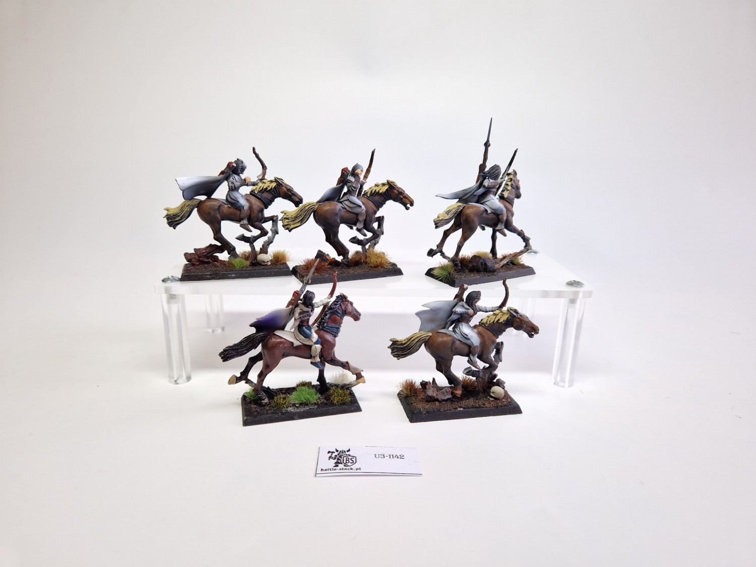 WFB WE glade raiders malowane zestaw (uszkodzone)