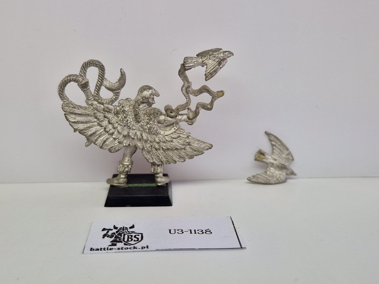 WFB WE falconer
