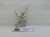 WFB WE wardancer 6th