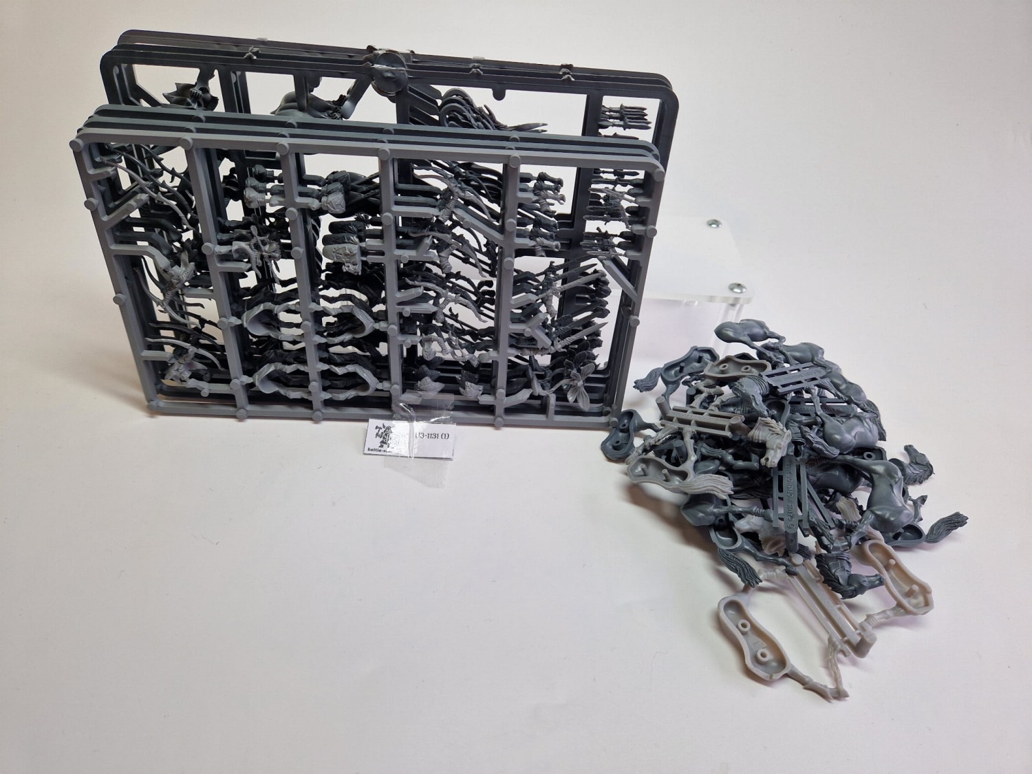 WFB WE glade riders (box 12szt)