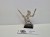 WFB WE wardancer 5ed