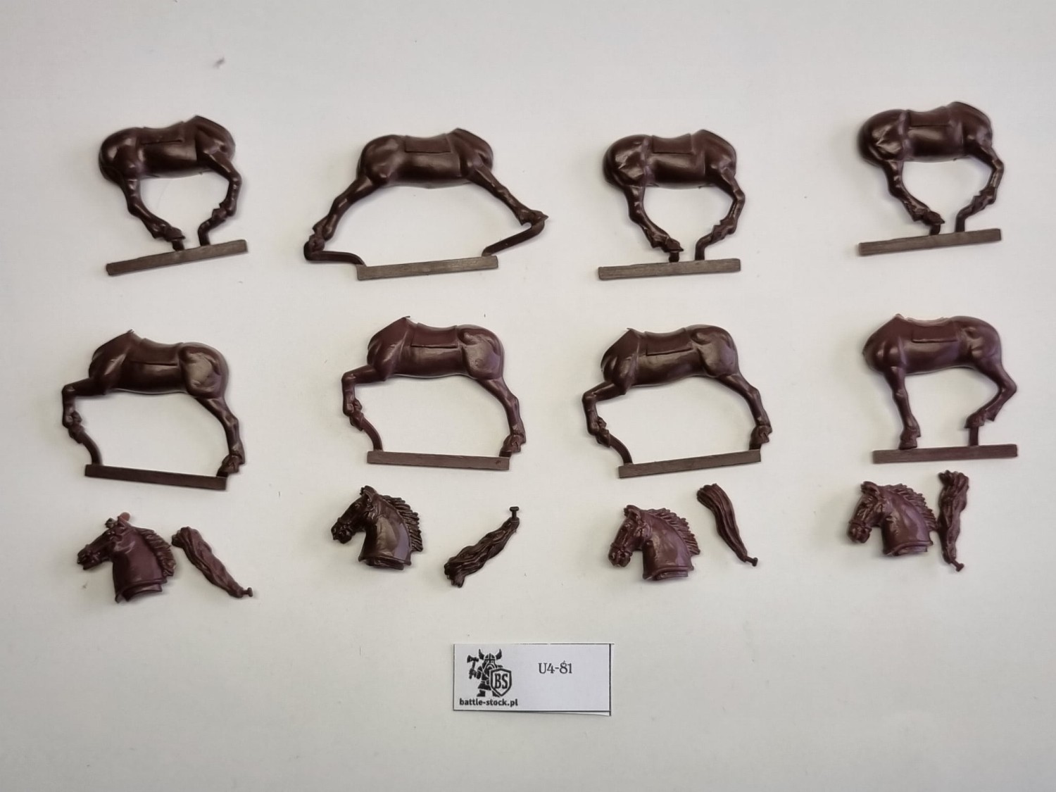 4x large horses