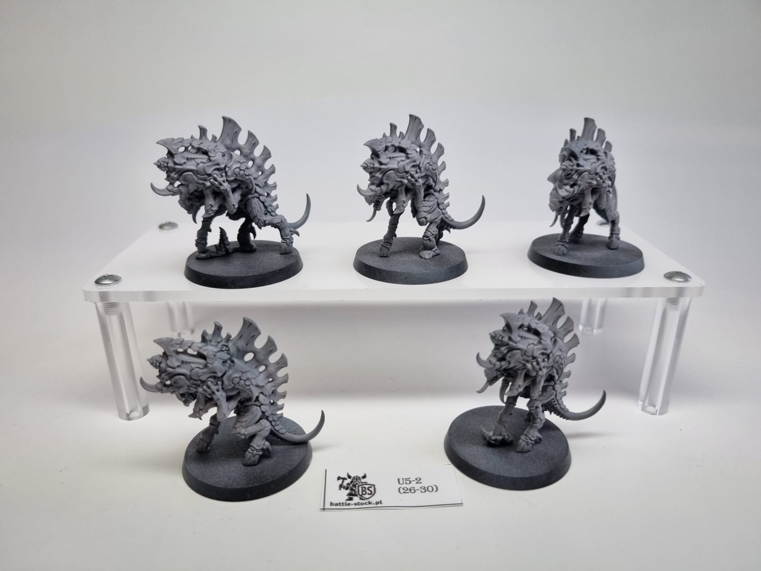 barbagaunts