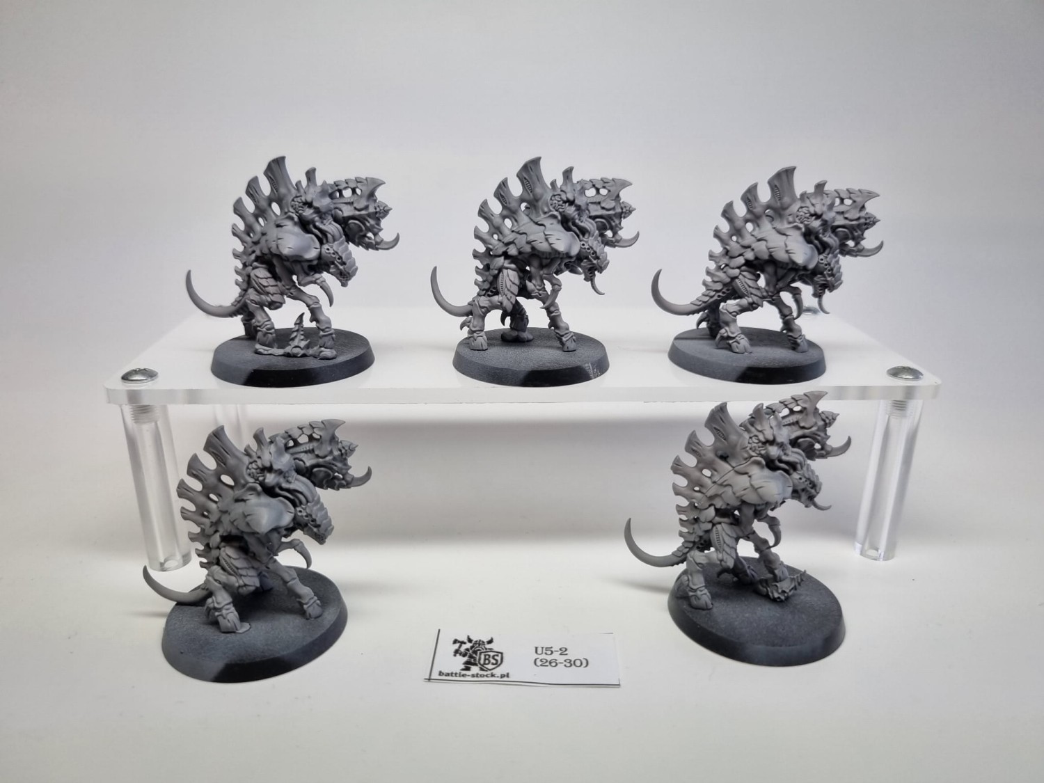barbagaunts