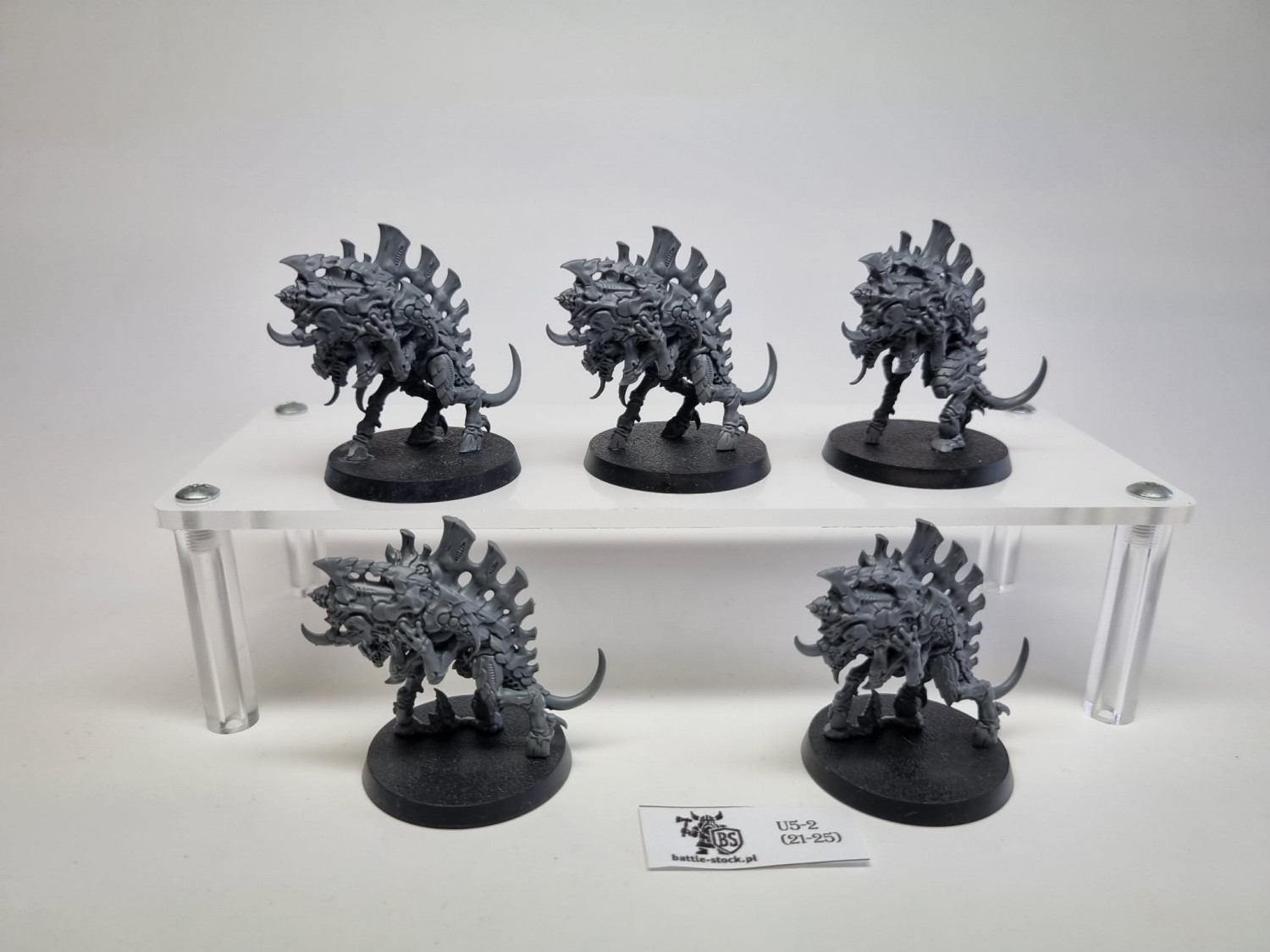 barbagaunts
