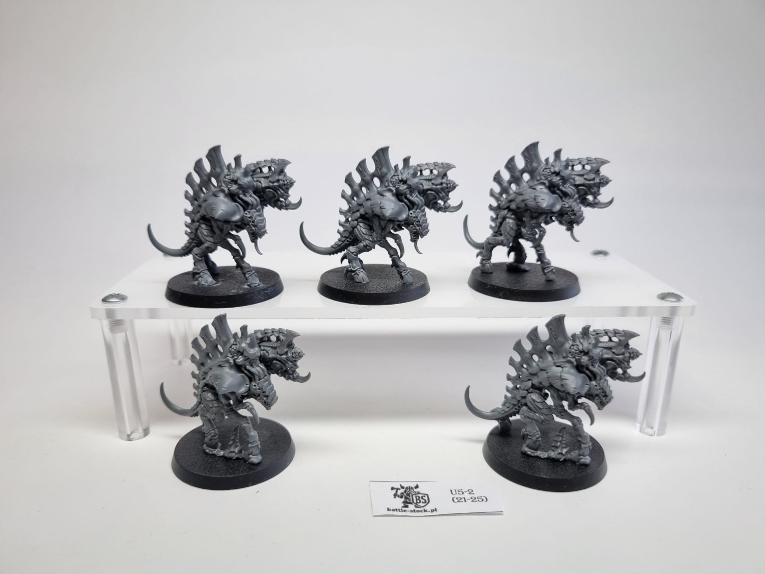 barbagaunts