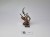 WFB skaven lord IoB