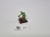 WFB O&amp;G oldhammer Orc