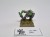 WFB Orc