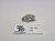 WFB lizardmen jungle swarm animals