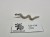 WFB lizardmen jungle swarm animals