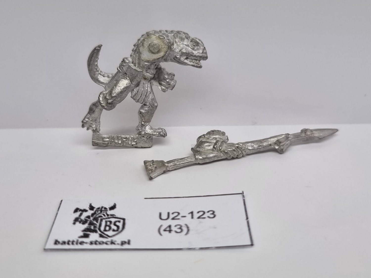 WFB lizardmen saurus warriors 5ed