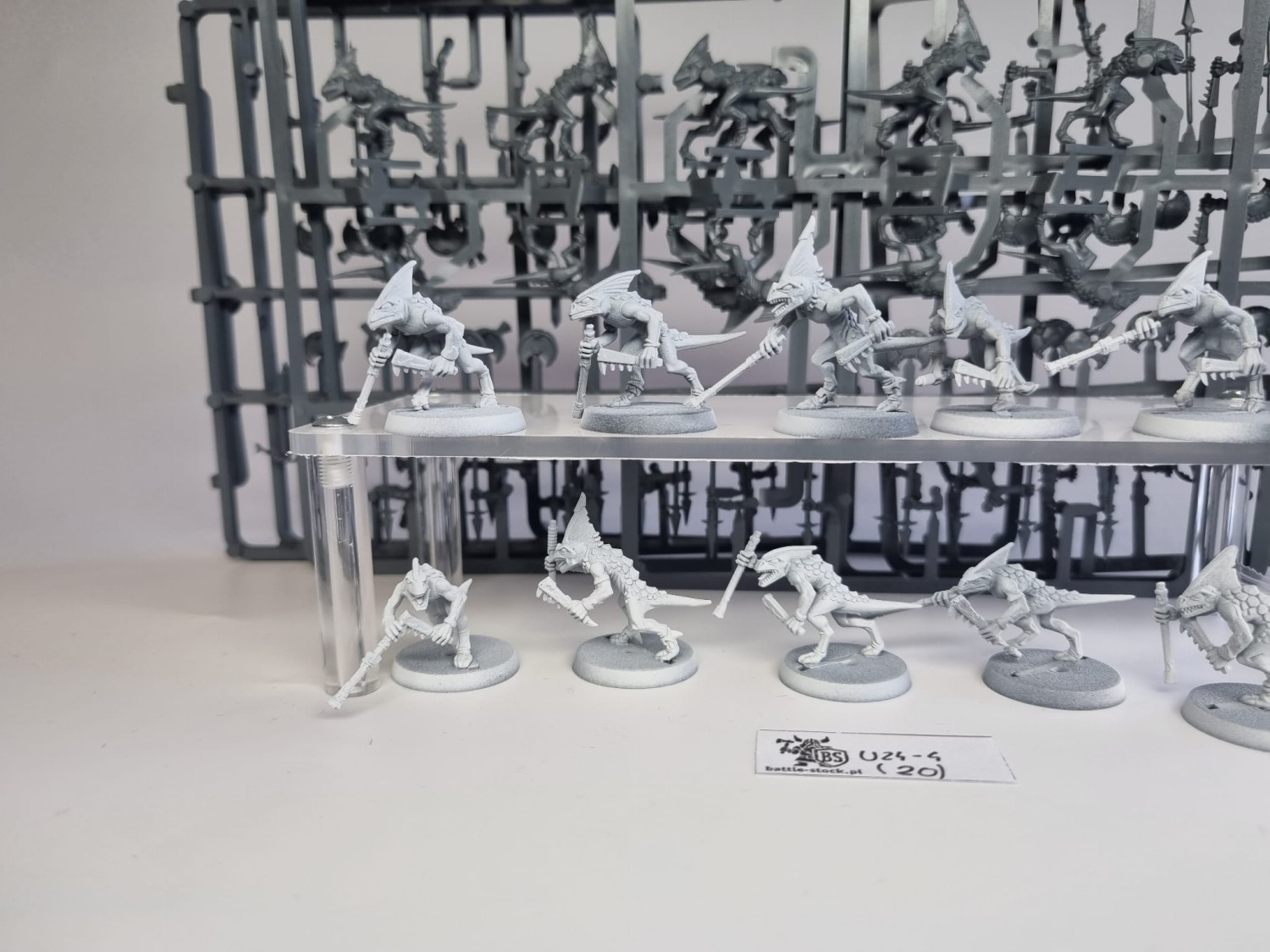 AOS seraphon skinks