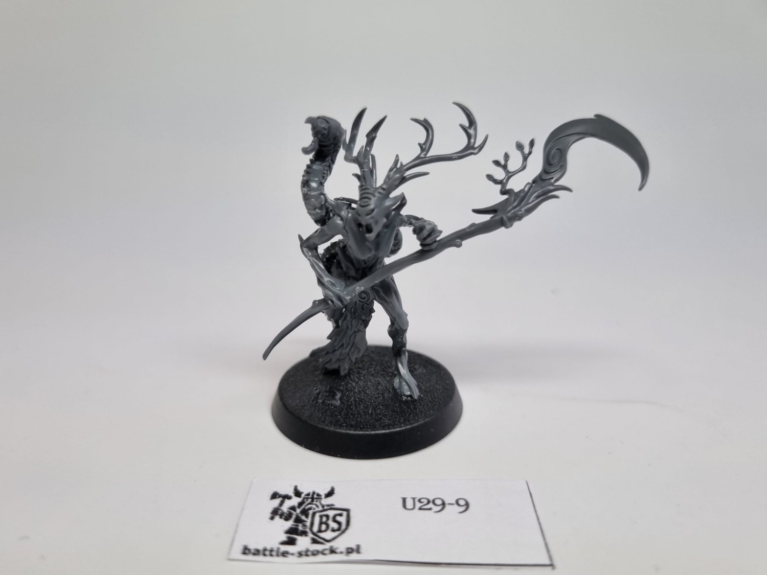 Aos branchwych