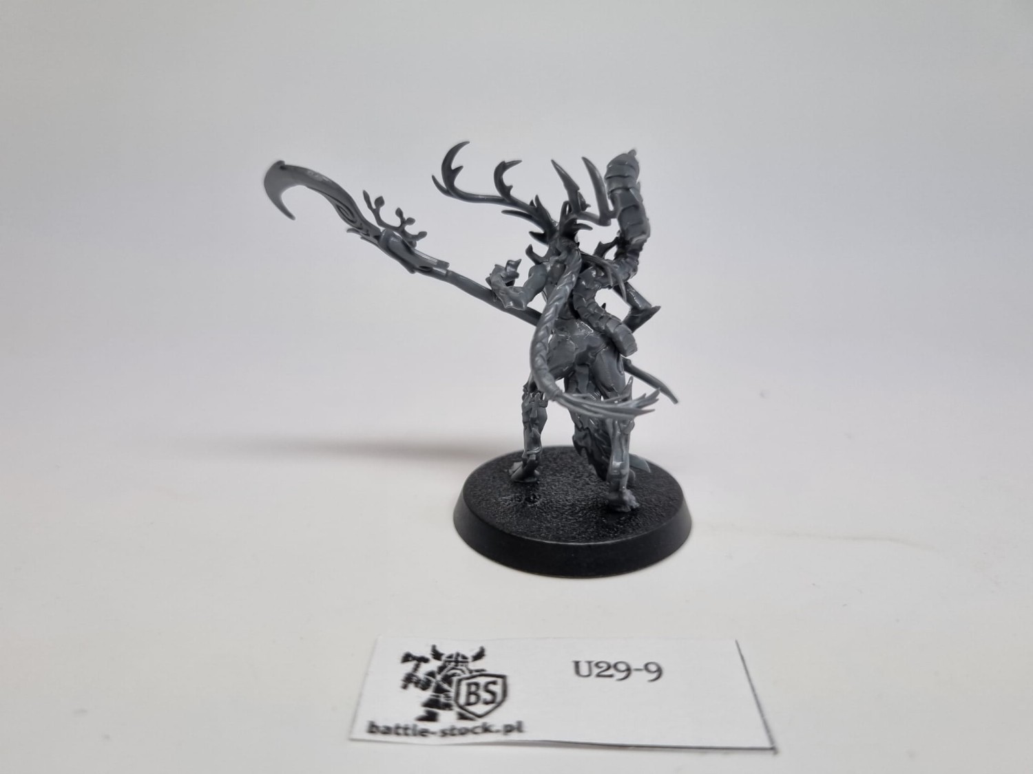 Aos branchwych