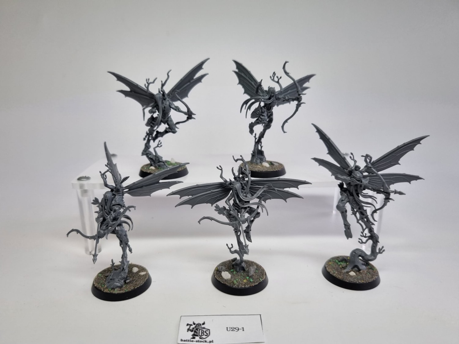Aos Gossamid archeres zestaw