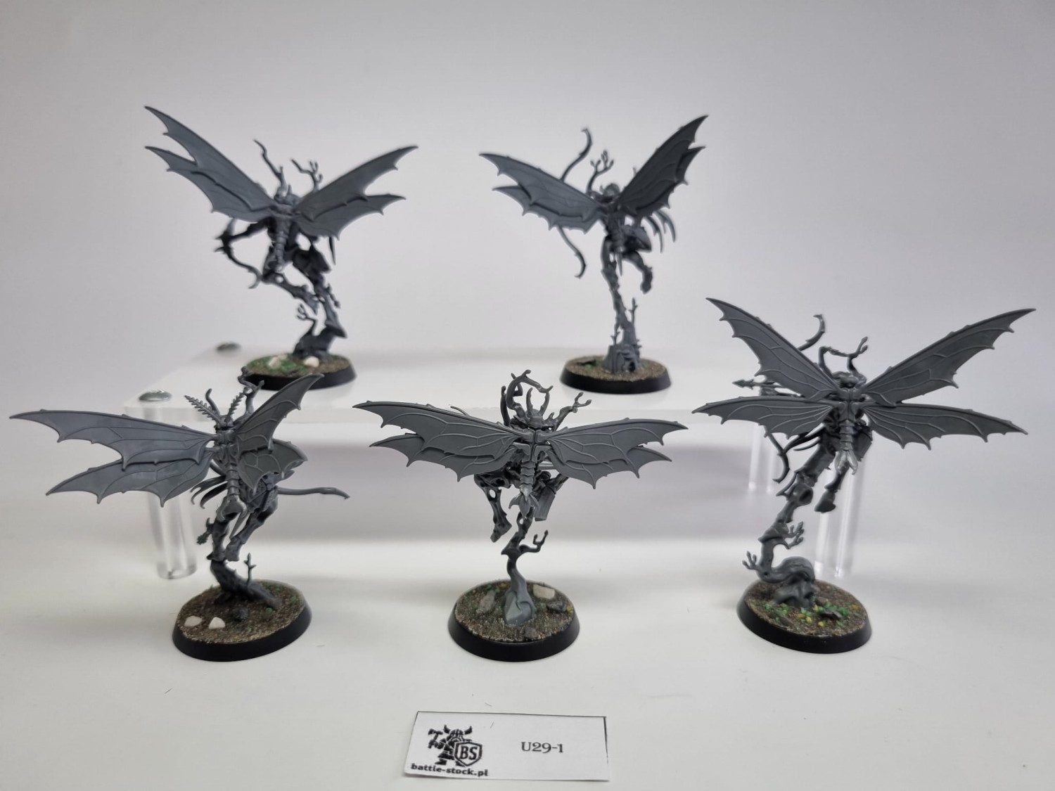 Aos Gossamid archeres zestaw