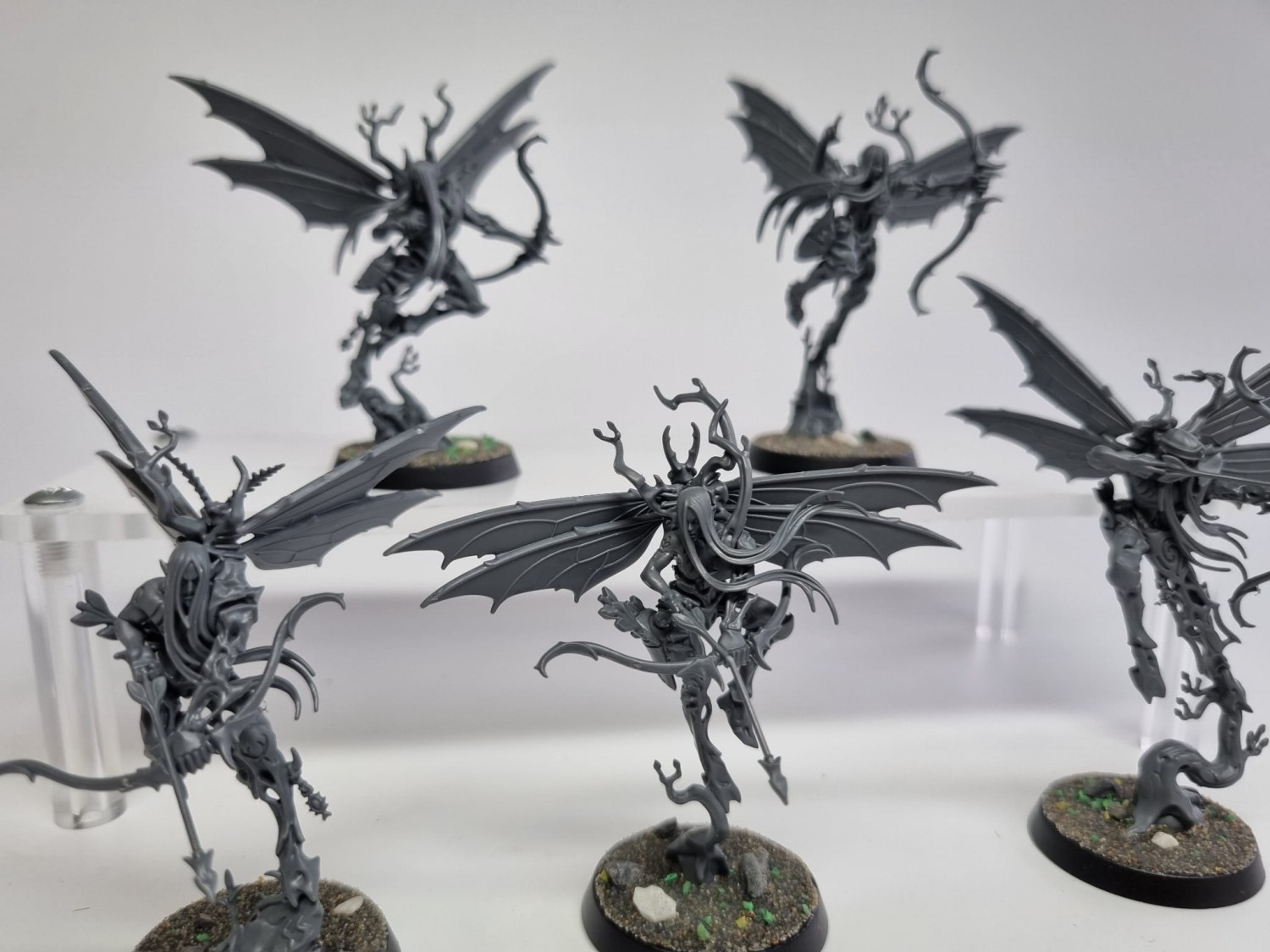 Aos Gossamid archeres zestaw