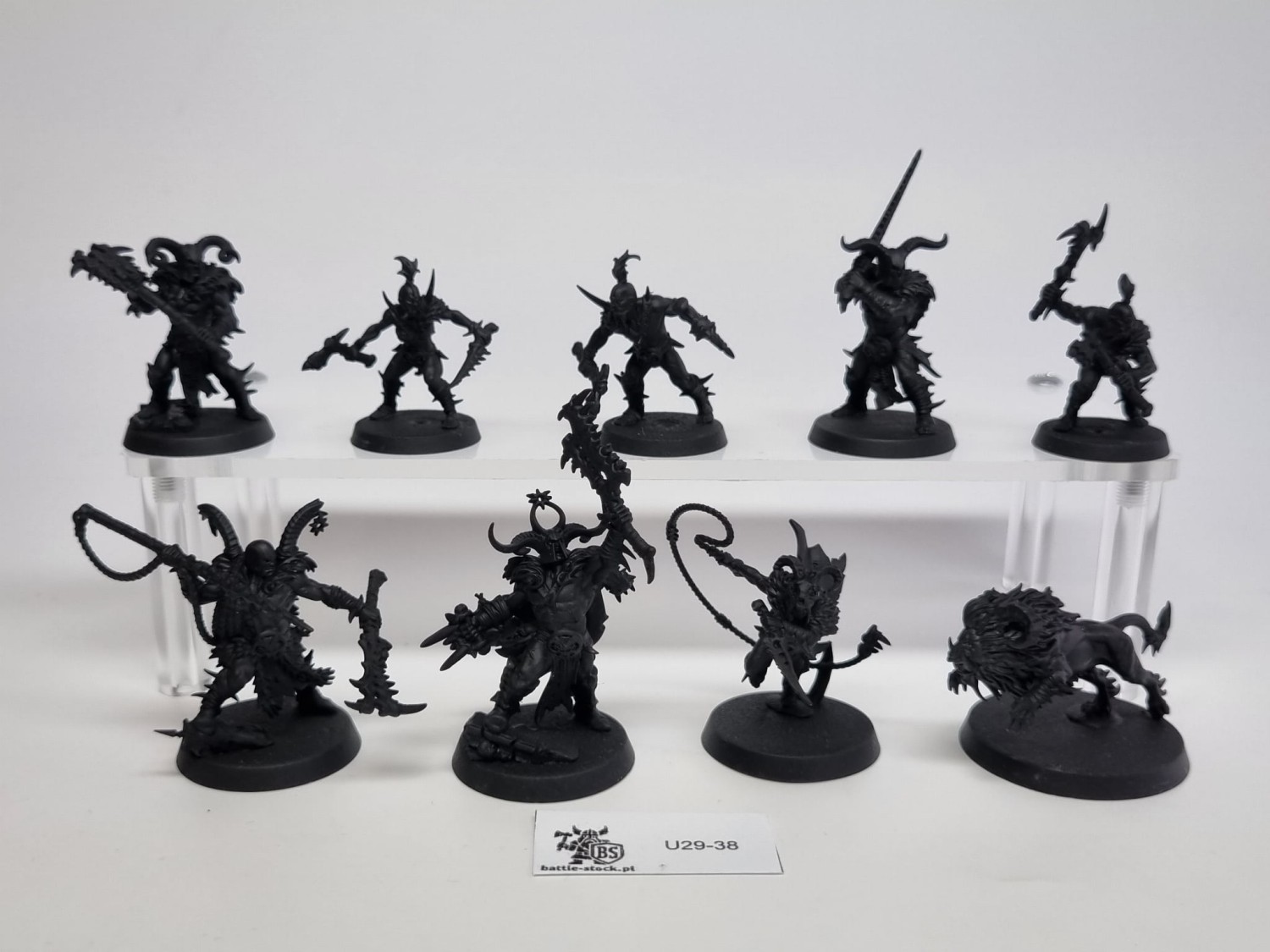 AoS warcry untamed beast