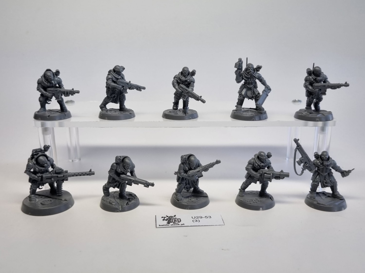 GSC neophyte hybrides zestaw