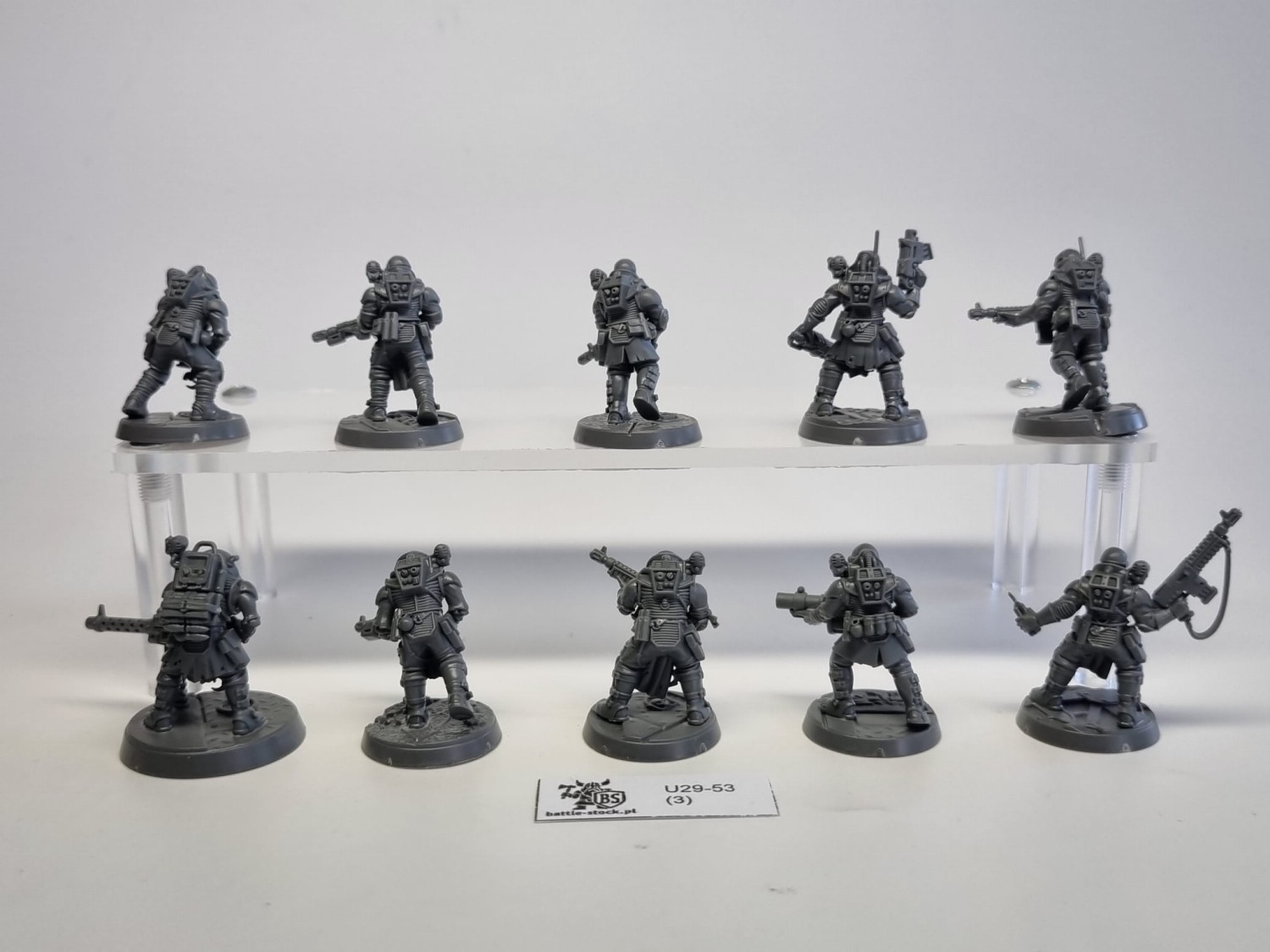 GSC neophyte hybrides zestaw