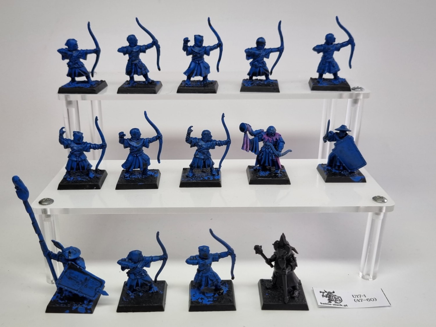 WFB bretonia archers / MAA
