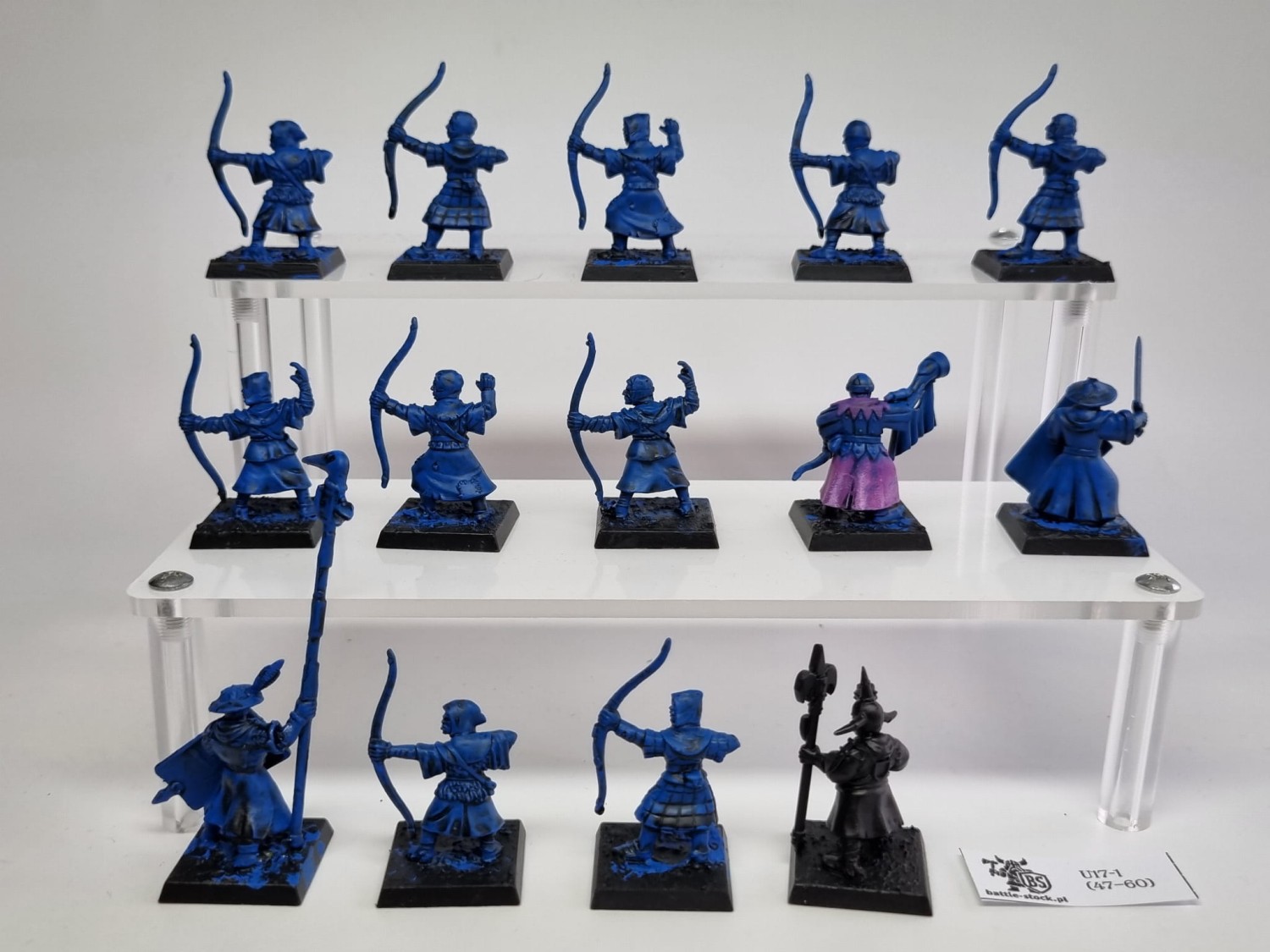 WFB bretonia archers / MAA