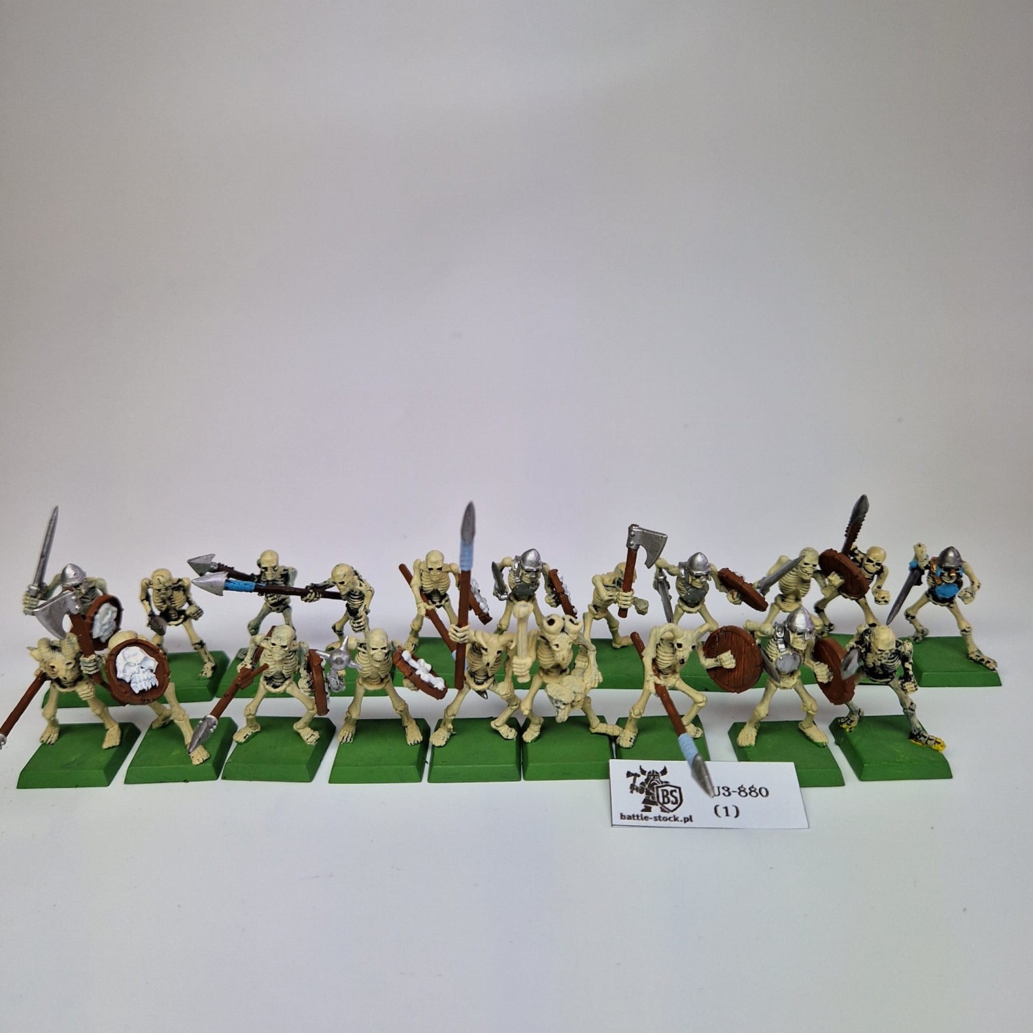 WFB VC Skeleton Warriors