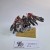 WFB TK Carrion