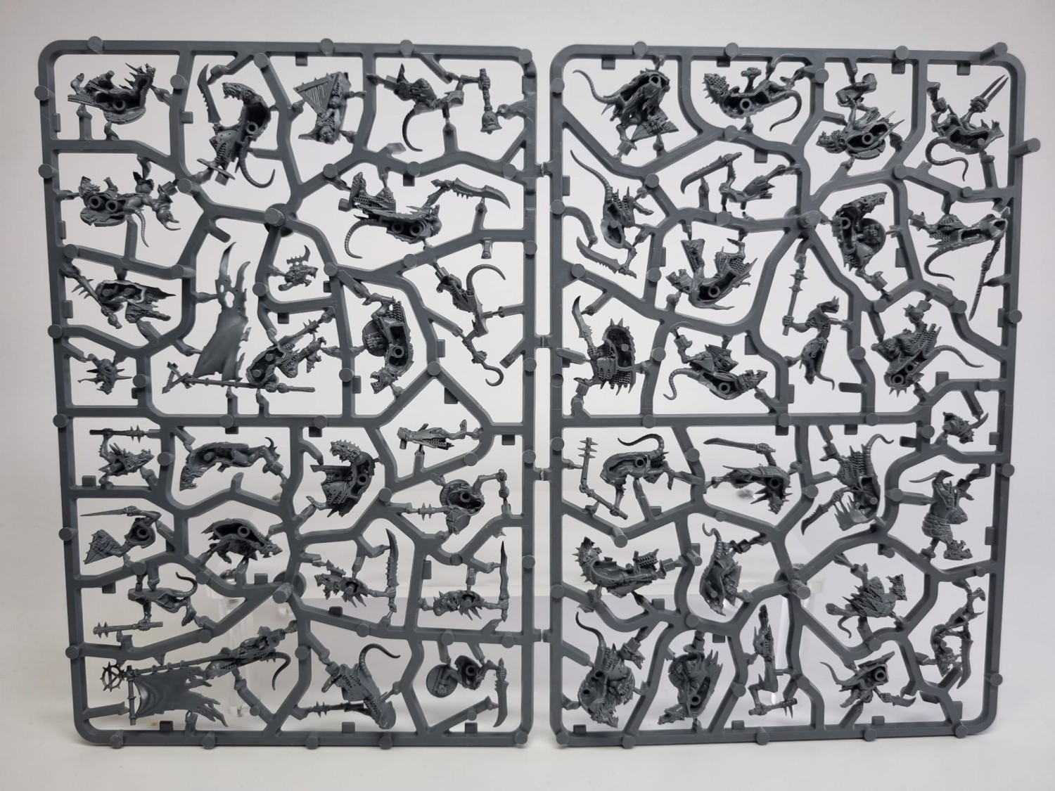 Skaven clanrats