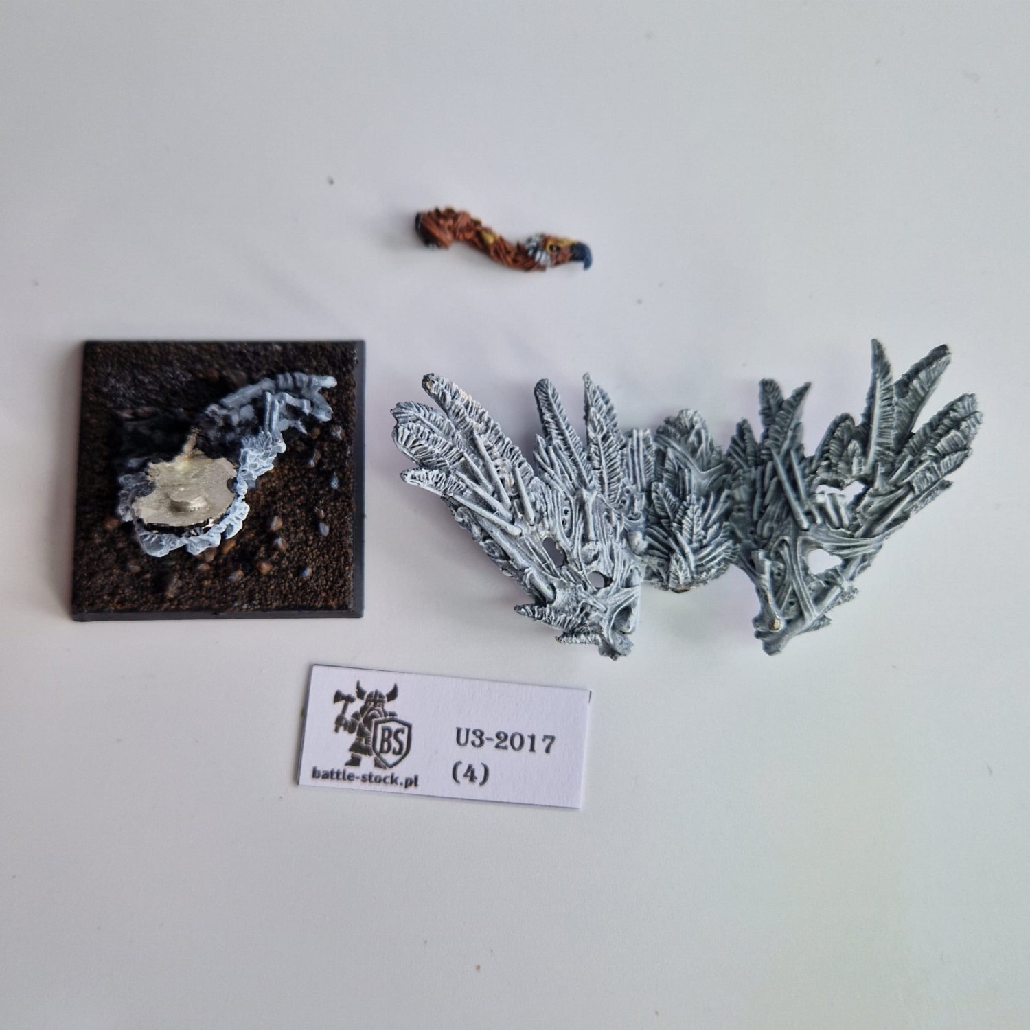 WFB TK Carrion