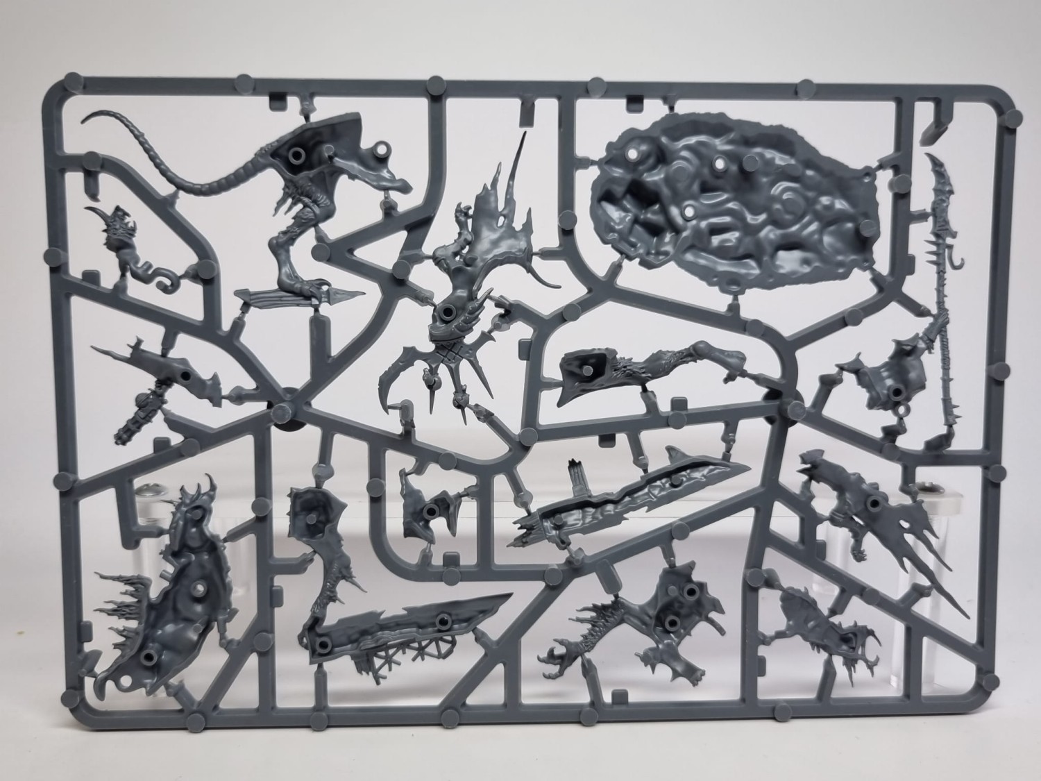 Skaven Clawlord on gnaw-beast