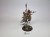 AoS nurgle Lord of Afflictions