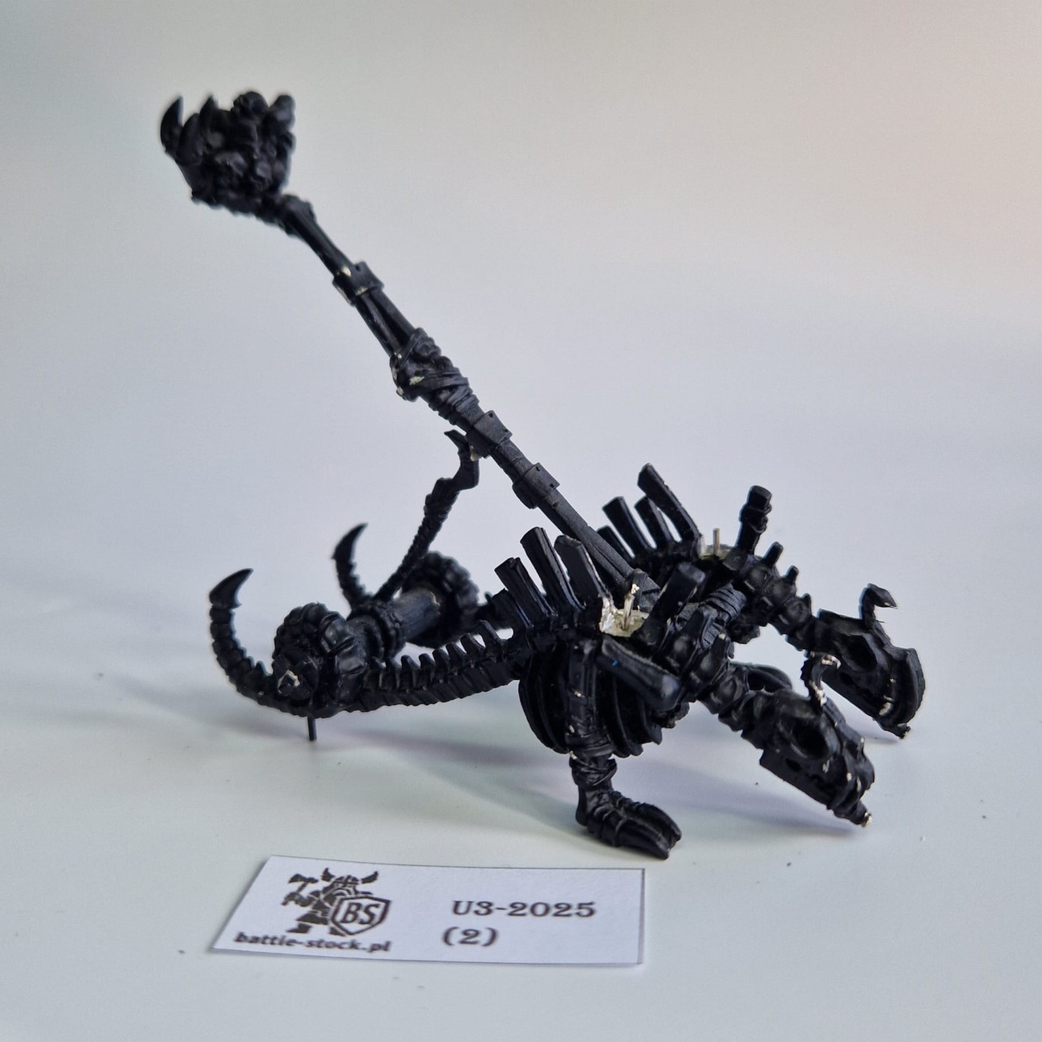 WFB TK niekompletna Screaming Catapult