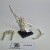WFB TK Limited BSB