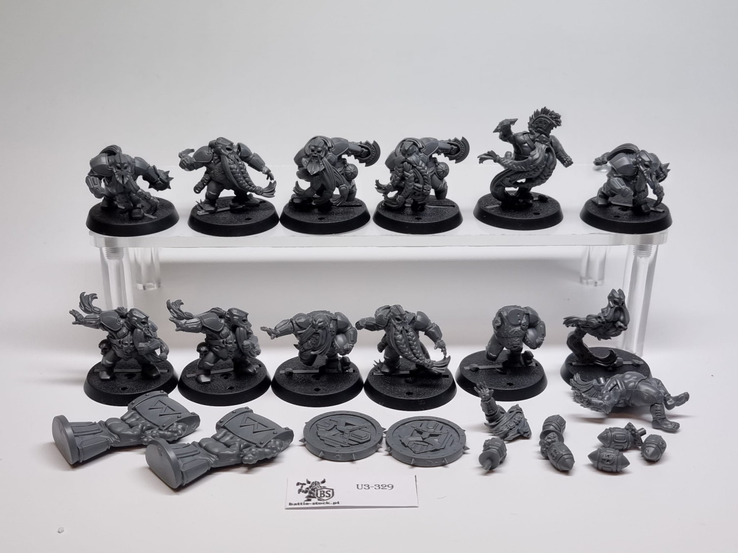 Dwarf blood bowl team lekkie braki