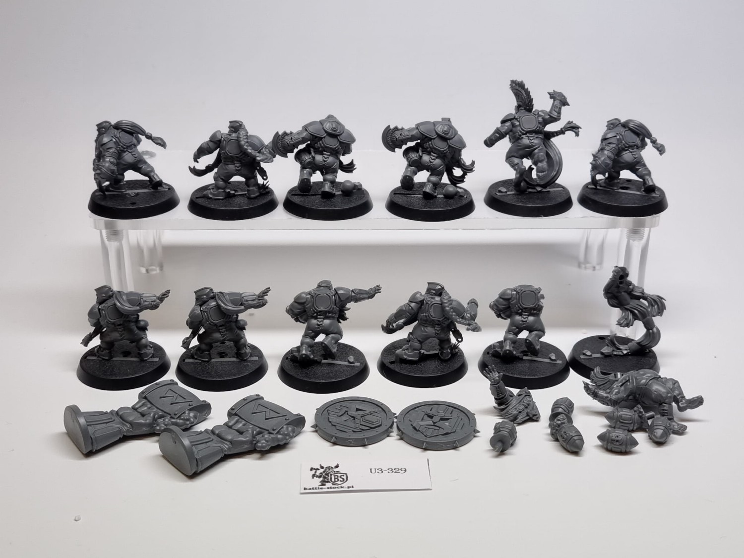 Dwarf blood bowl team lekkie braki