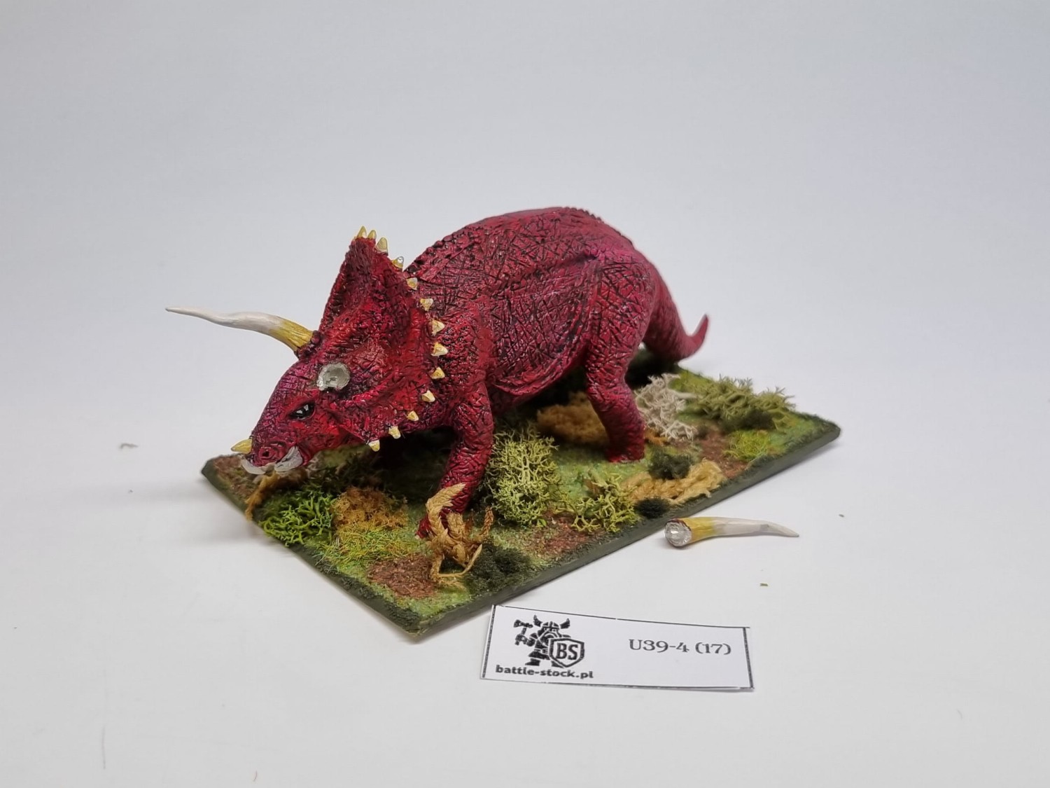 48-0168: Triceratops