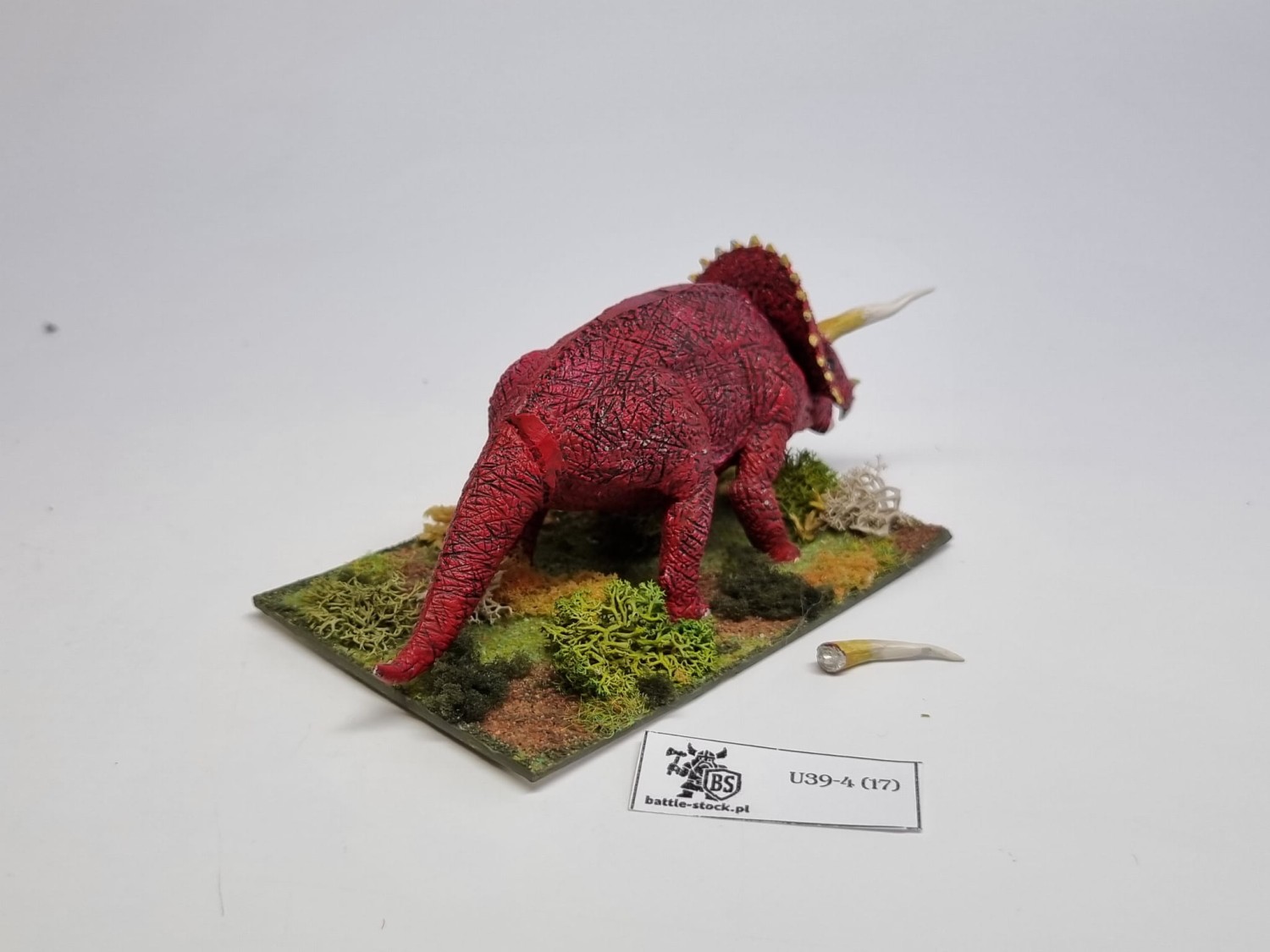 48-0168: Triceratops