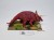 48-0168: Triceratops