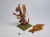 shadow run corporate dragon ral partha