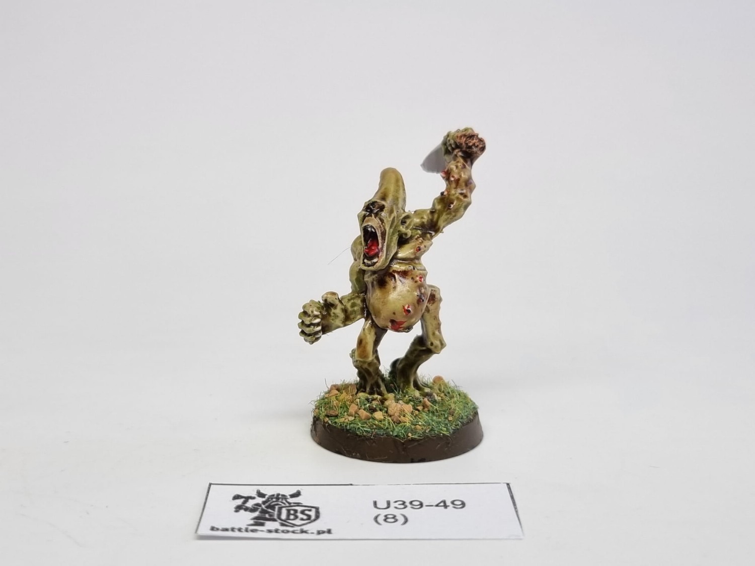 40k Chaos pleague bearer M