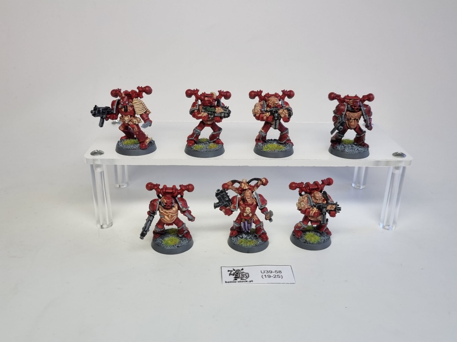 40k death guard M / P
