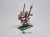 WFB HE mage konny