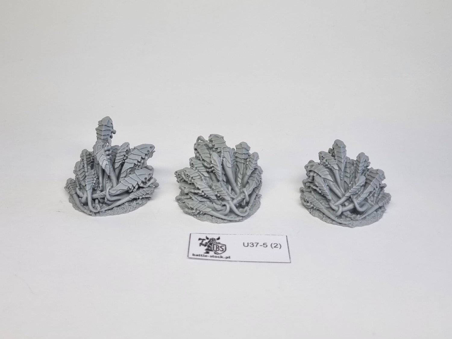 ripperswarm set FW